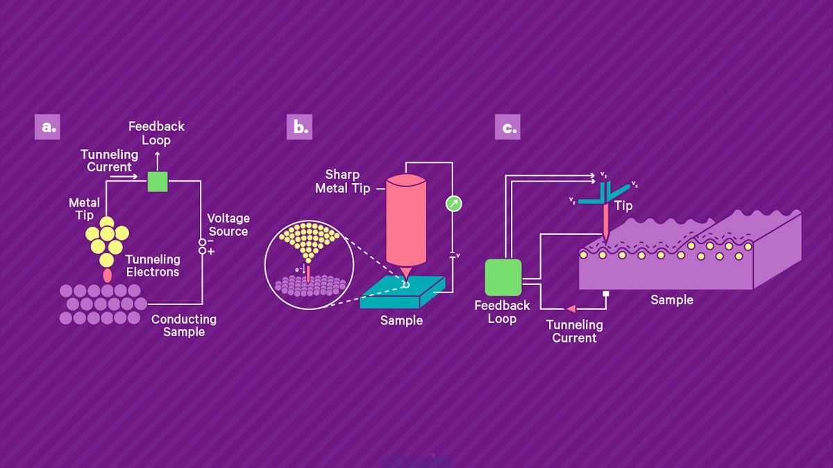 掃描隧道顯微鏡的工作原理。 a) 將鋒利的導電尖端靠近導電樣品表面并施加偏置電壓，從而產(chǎn)生穿過間隙的小隧道電流。 該電流由高增益放大器讀出。 b) 壓電掃描系統(tǒng)用于控制尖端與表面的分離并在表面上掃描尖端。 當尖端保持在恒定高度時，電流幅度可用作尖端表面分離的直接測量，從而實現(xiàn)地形成像。 或者，可以使用反饋回路通過改變定位系統(tǒng)的控制電壓來保持恒定電流，該控制電壓被記錄下來并產(chǎn)生樣品上的形貌和電子密度的測量值。