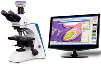 BK系列臨床、實(shí)驗(yàn)室生物顯微鏡